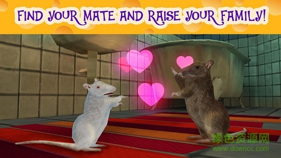 老鼠模擬器3d手機版 v1.0 安卓版 2