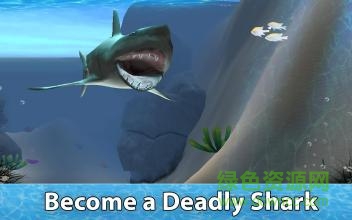 小格解說鯊魚生存模擬器(Shark Simulator) v1.03 安卓手機版 0