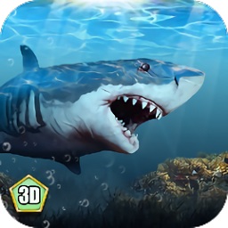 小格解說鯊魚生存模擬器(Shark Simulator)