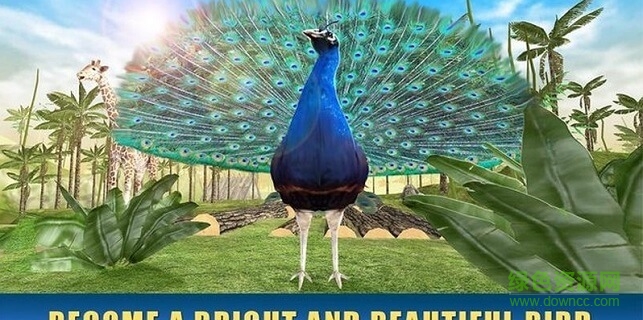 孔雀模擬器中文版(Peacock Simulator 3D) v1.0.0 安卓版 0