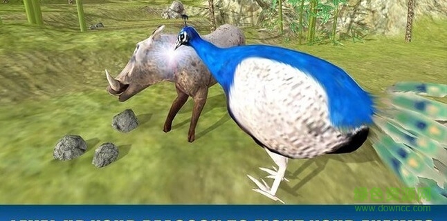 孔雀模擬器 孔雀模擬器中文版下載