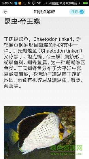 小蛙出海 v3.0.0 安卓版 0