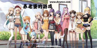 養(yǎng)老婆的游戲