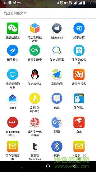 复制分享安卓版 复制分享手机版