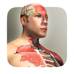 人體模型模擬器