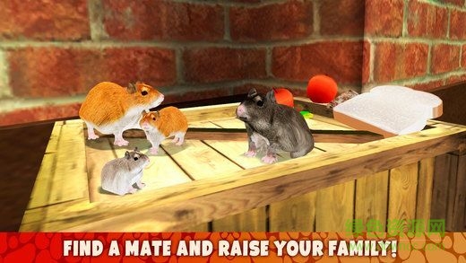 倉鼠模擬器手機(jī)版下載 倉鼠模擬器下載
