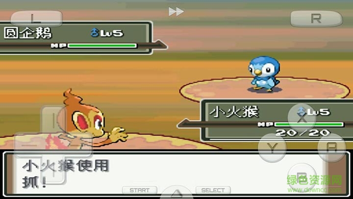 口袋妖怪白金493版 v4.6.4 安卓版 0