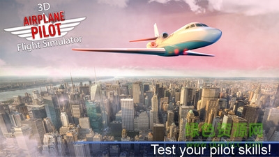 飛機飛行模擬器游戲 v1.94 安卓版 3