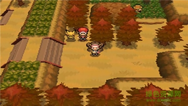 口袋妖怪超透黑2 v4.6.4 安卓版 2