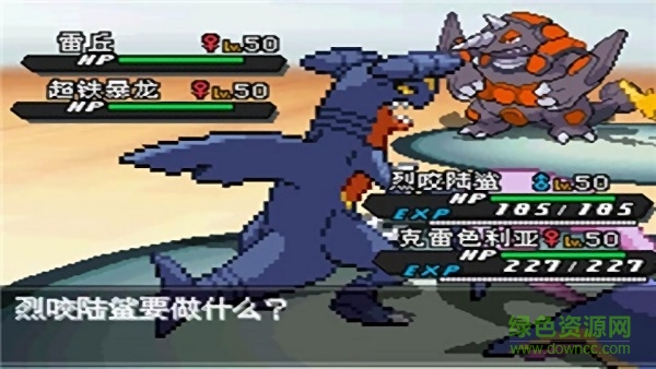 口袋妖怪超透黑2 v4.6.4 安卓版 3