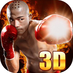 真實(shí)拳擊對(duì)決最新版