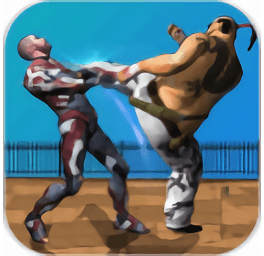 大型戰(zhàn)斗格斗手游(Big Fighting Combat)