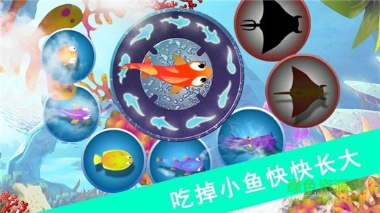 鯊魚風暴手游 v1.1.5 安卓版 0