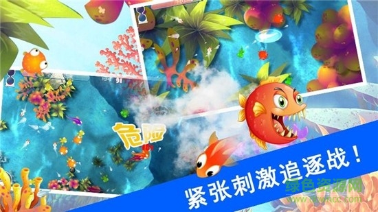 鯊魚風暴手游 鯊魚風暴游戲下載