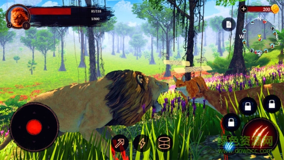 獅子王模擬器無限經(jīng)驗版 v1.0.1 安卓版 1