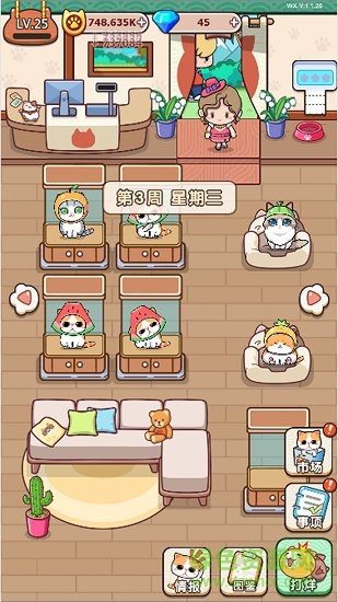 藍(lán)星貓貓教 藍(lán)星貓貓教下載