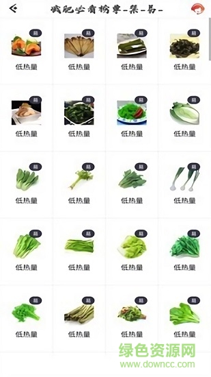 瘦瘦快減肥 v6.8 安卓版 3