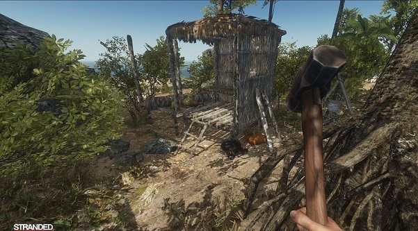 荒島求生小浪玩的版本 v1.0 安卓版 0