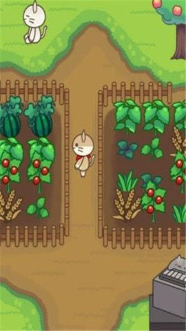 貓之森友會(huì)賺錢版下載 貓之森友會(huì)紅包版下載