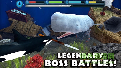 终极虎鲸模拟器 终极虎鲸模拟器中文版