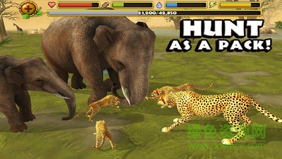 終極獵豹模擬器中文版 v1.1 安卓版 2