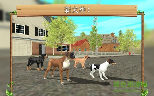 模擬狗子生存手游(Dog Sim) v100 安卓版 2