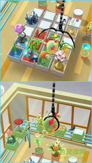 小小陽臺植物樂園 v1.0.9 安卓版 3