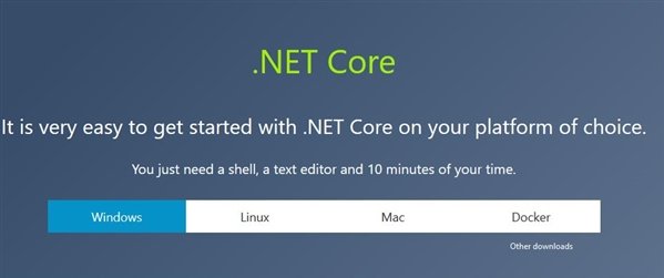 .net core .net core下載