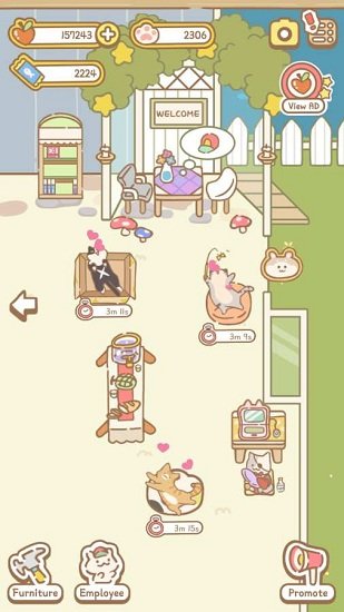 貓咪spa手游 v0.1.0 安卓版 3