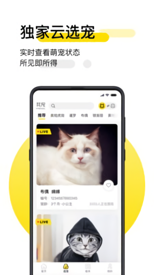 共寵最新版下載