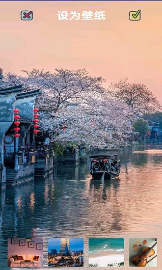 番茄壁紙 v1.0.0 安卓版 0