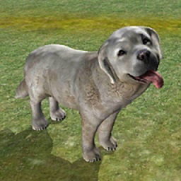 牧羊犬模擬器免費版
