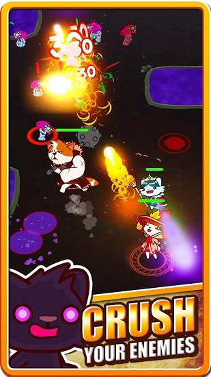 卡托皮婭拉什貝塔漢化版 v0.2.7 安卓版 1