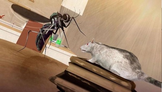 蚊子家庭生活模擬器3d v1.0 安卓版 3