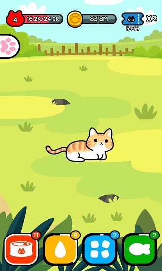 收养一只流浪的猫 收养一只流浪的猫下载