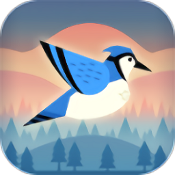 有彈性的鳥(niǎo)