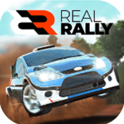 真實(shí)拉力賽中文