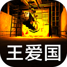 孫美琪疑案王愛國游戲