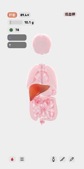 生命人體模擬器 生命人體模擬器漢化下載