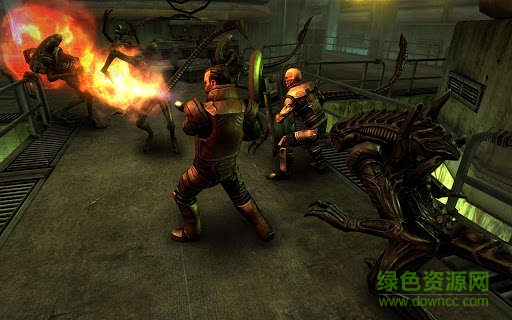 異形大戰(zhàn)鐵血戰(zhàn)士蟲蟲