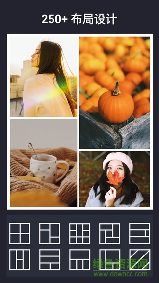 incollage v1.262.87 安卓版 1