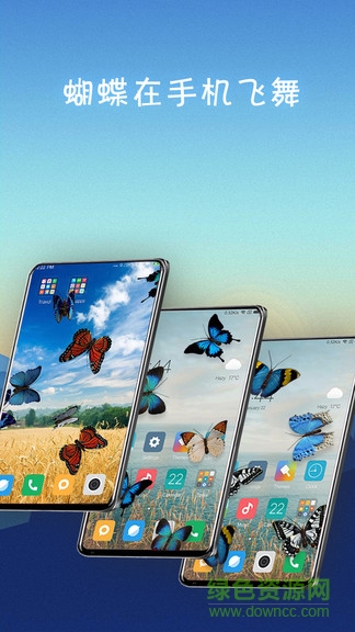 蝴蝶在手機(jī)飛舞官方版1