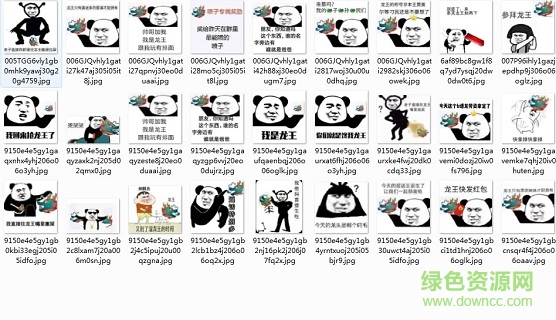 龍王表情包下載