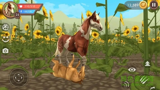 餓狼來了最新版