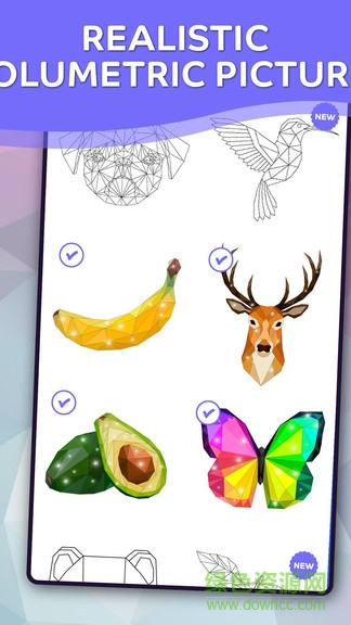 數(shù)色予形 v1.0 安卓版 0