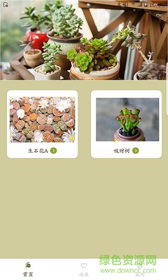 多肉愛好者 v1.0 安卓版 3