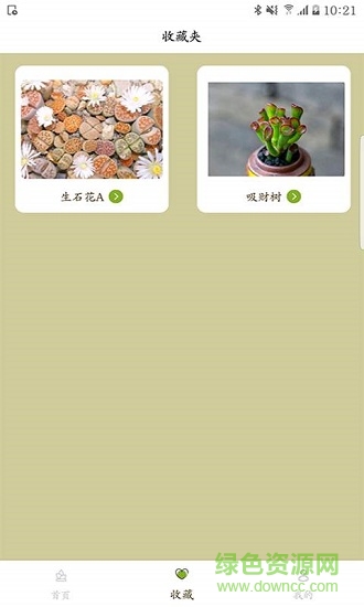 多肉愛好者 v1.0 安卓版 1