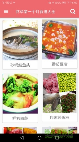 孕婦營養(yǎng)食譜app v3.3 安卓版 0