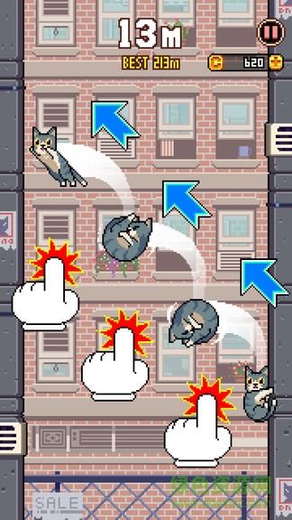 貓咪跳高高手機版 貓咪跳高高最新版