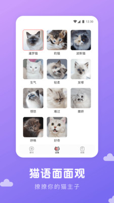 貓語翻譯器軟件 v1.2.0 安卓版 1